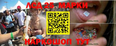 тгк Владимир