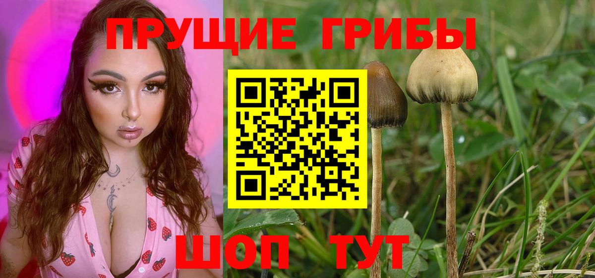 Балабаново  Галлюциногенные грибы мицелий  Галлюциногенные грибы GOLDEN TEACHER  Вход с VPN 